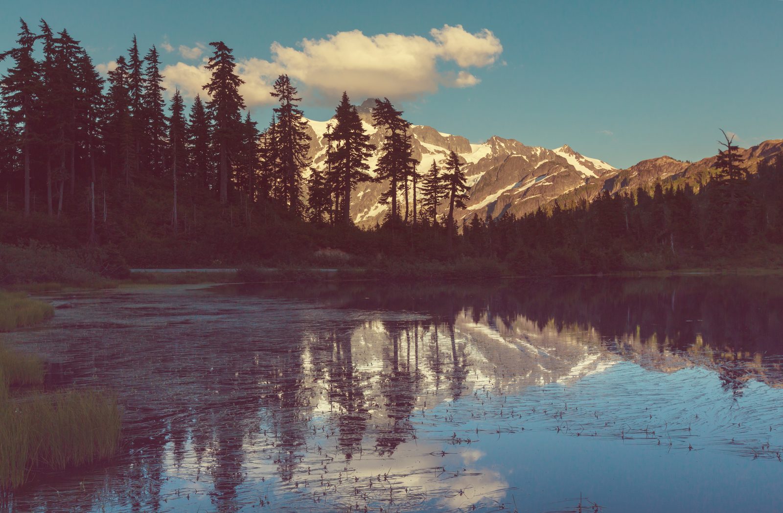 Mount Shuksan and evergreen forest reflected in still water at dusk